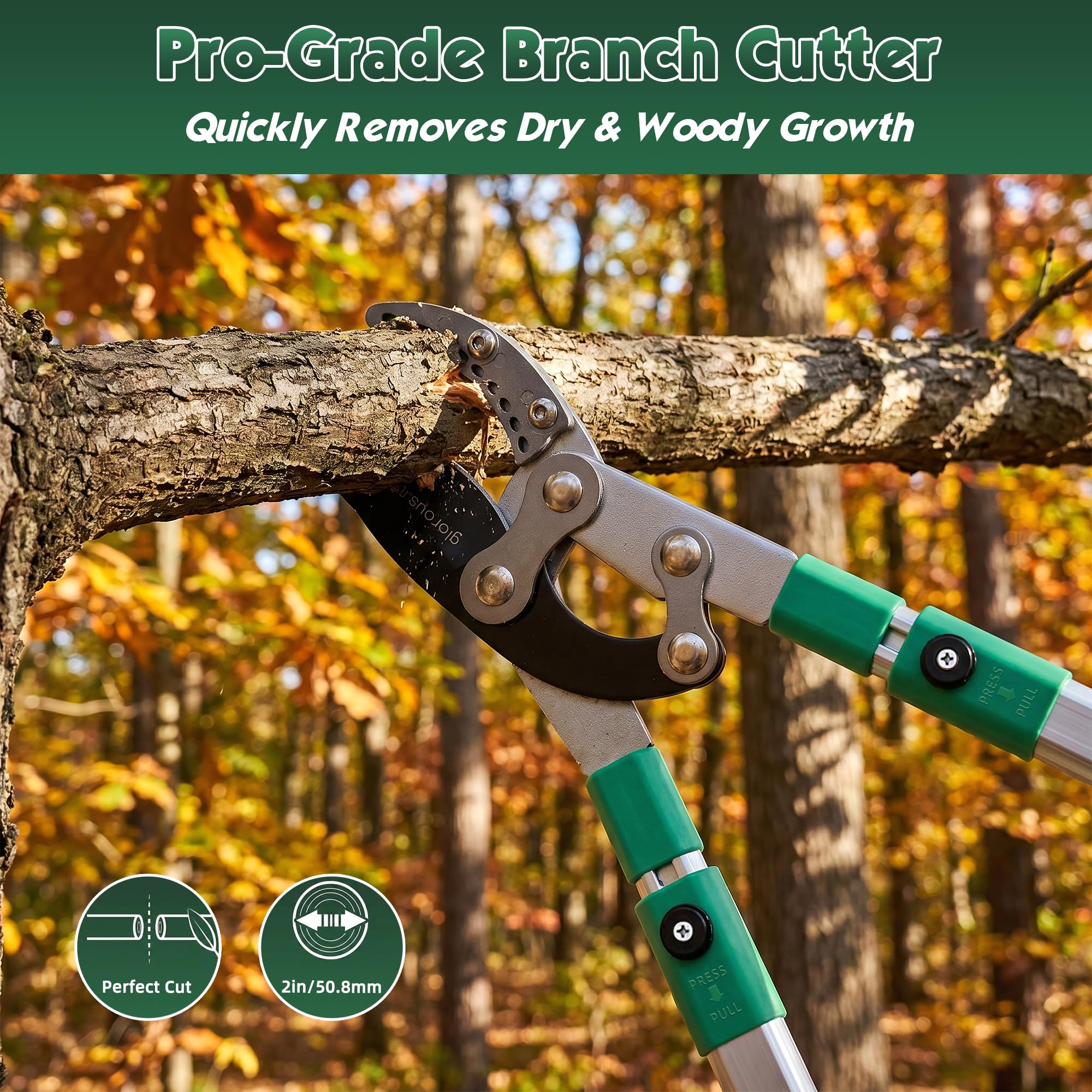 glorousamc loppers next to ruler showing 28-41 inch extendable range for scale and leverage benefit