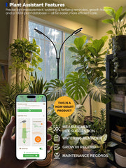 GLOWRIUM adjustable height demonstration showing three positions for varied plants