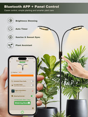 GLOWRIUM extended to full 70.9 inches illuminating tall houseplant for better growth