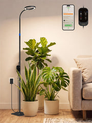 GLOWRIUM front view of full spectrum floor lamp showing sleek profile and plant benefit