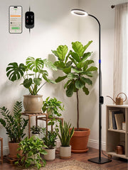 GLOWRIUM front view floor lamp showing stable base and tall reach for safer growth