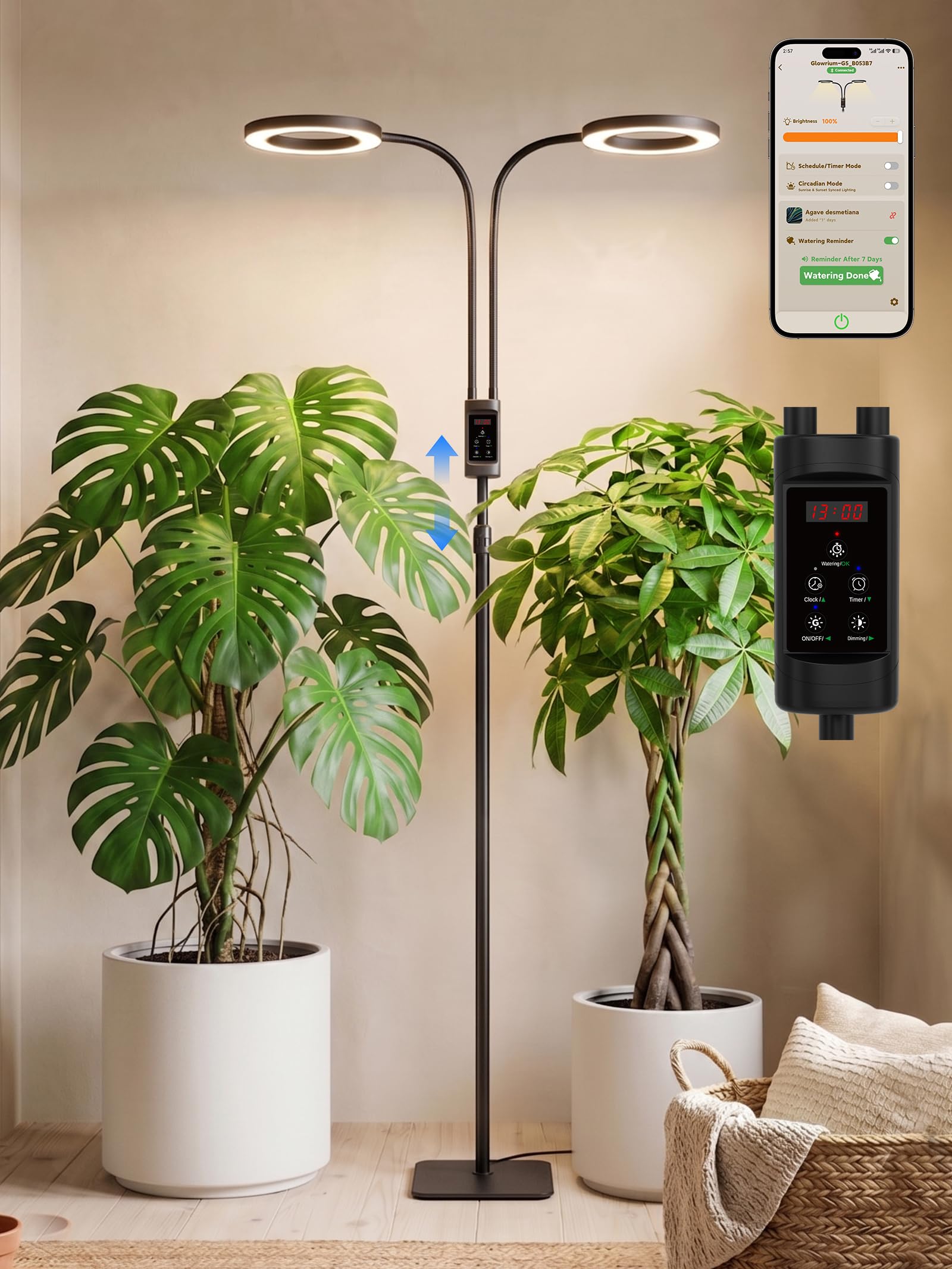 GLOWRIUM front view of floor grow light showing sleek profile and bright foliage benefit