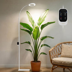 GLOWRIUM front view full stand showcasing sleek design and full-spectrum benefit