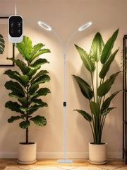 GLOWRIUM front view with stand showing stable base and full setup benefit