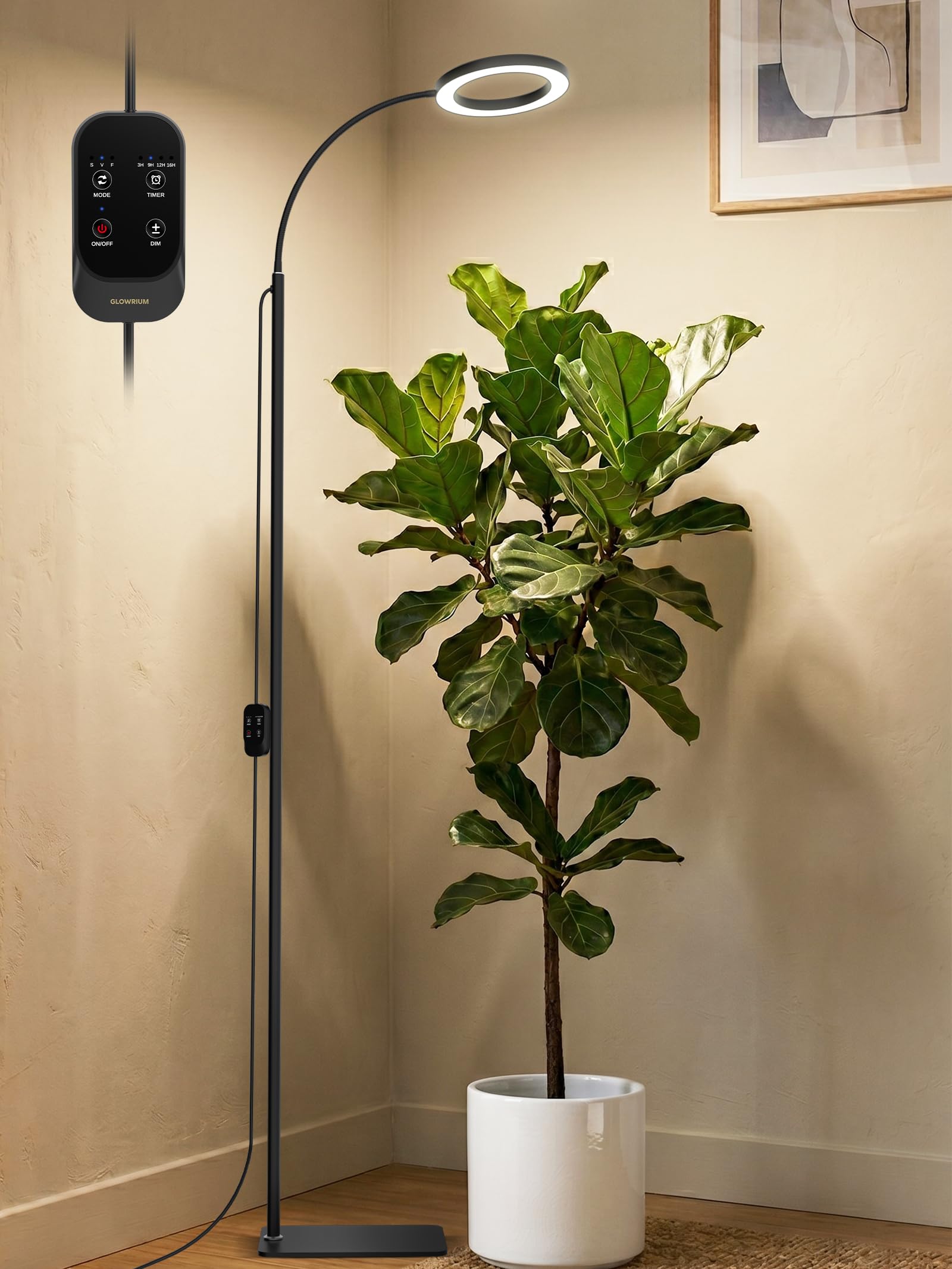 GLOWRIUM front view with stand showing full setup and stable base