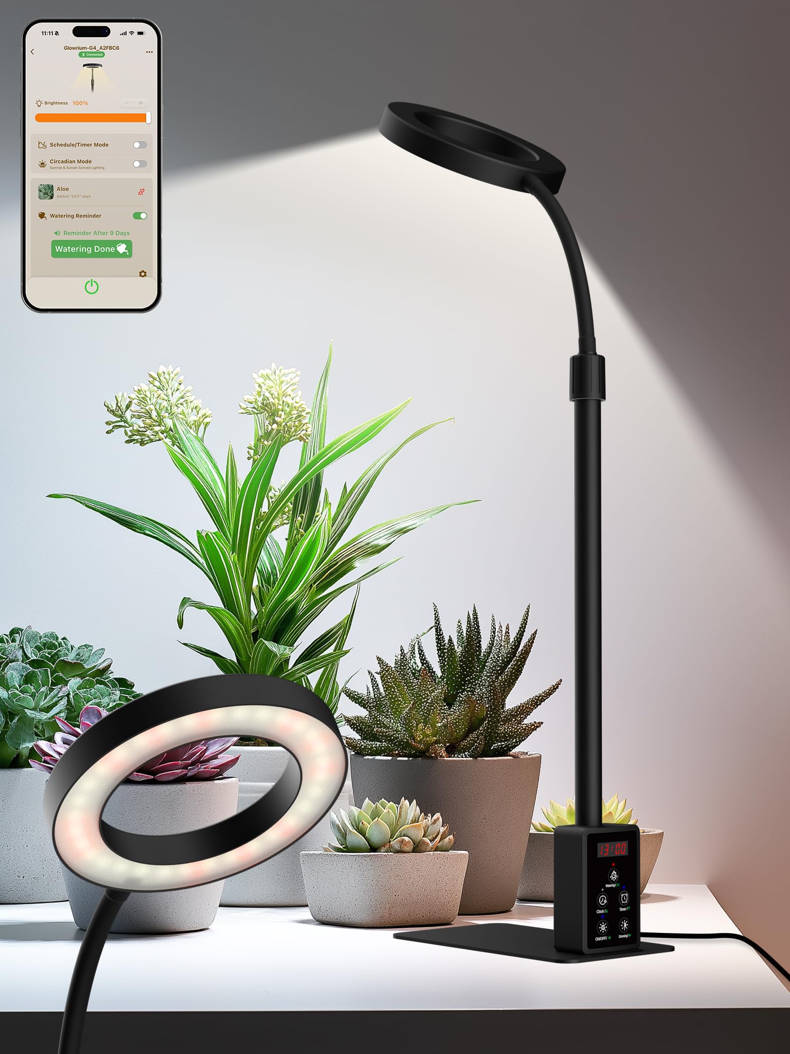 GLOWRIUM front view lamp showing compact base and sleek design for stable placement