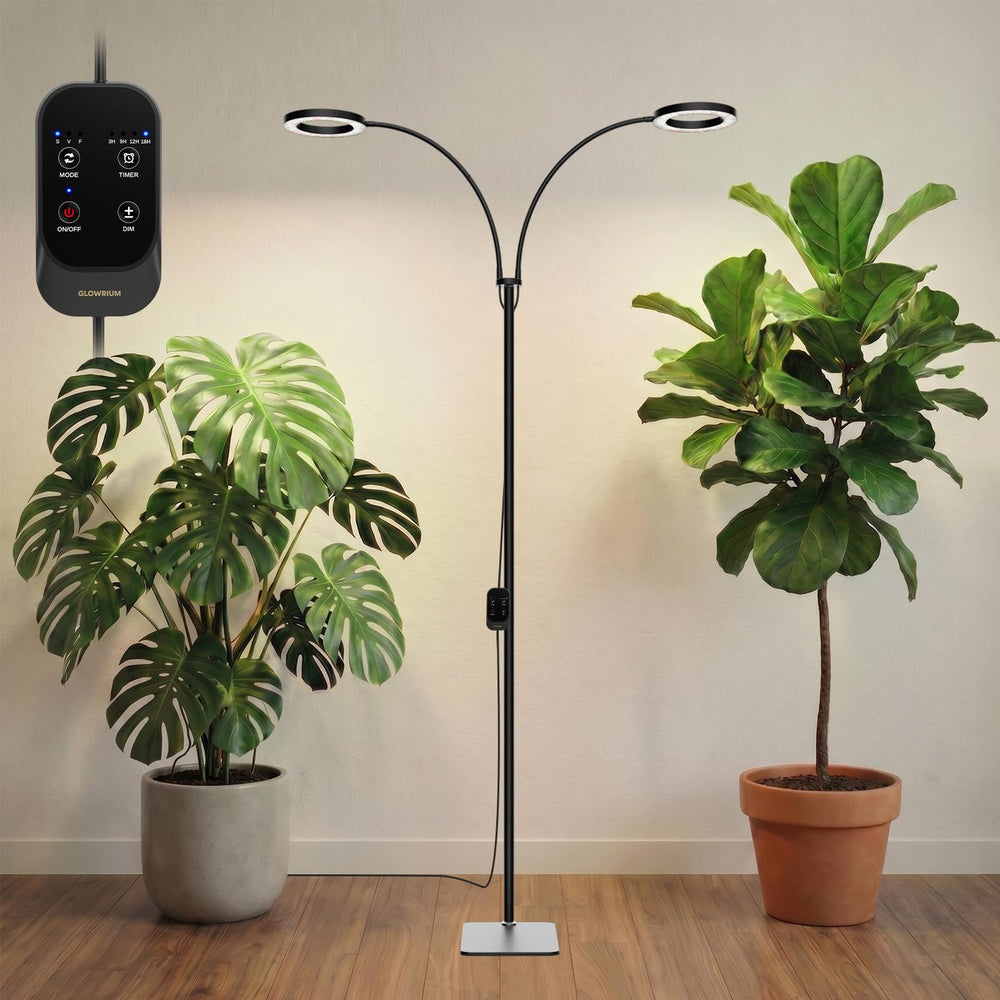 GLOWRIUM front view with stand showing elegant design and stability