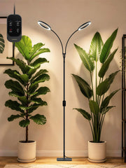 GLOWRIUM front view with stand showing stable base and reliable positioning