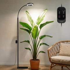 GLOWRIUM front view with stand showing sleek profile and stable base benefit