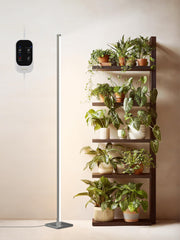 GLOWRIUM front view of standing grow light showing full vertical coverage and bright foliage benefit