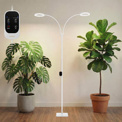 GLOWRIUM front view with stand showing stable setup and full-spectrum benefit
