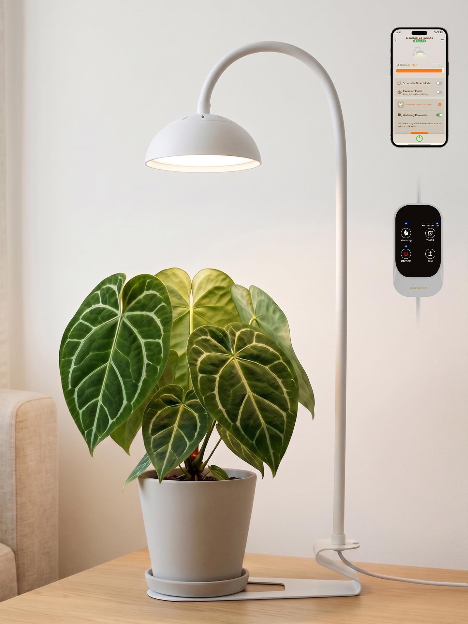 GLOWRIUM front view showing full lamp and compact base for small spaces