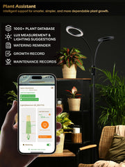 GLOWRIUM full-spectrum LED panel texture showing balanced light for growth
