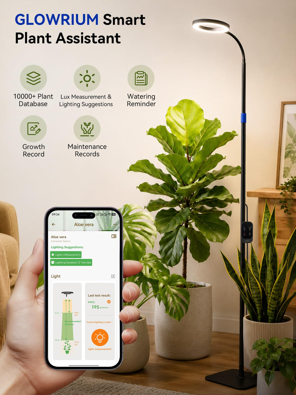 GLOWRIUM telescoping pole extended demonstrating adjustable height for taller plants