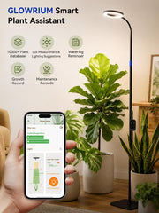 GLOWRIUM telescoping pole extended demonstrating adjustable height for taller plants