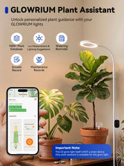 GLOWRIUM height adjustment demo illustrating three heights for versatile plant care