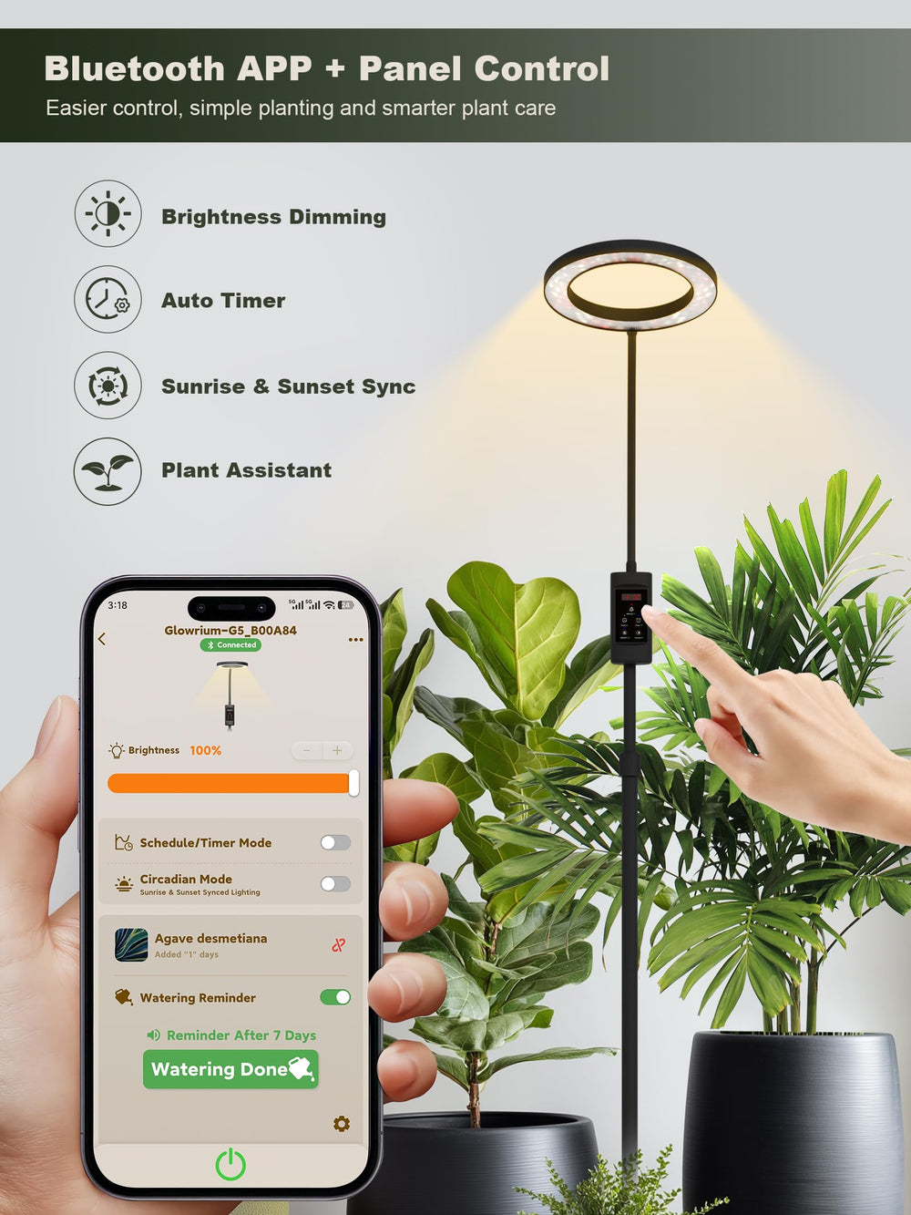 GLOWRIUM extended to 70.9 inches beside plant, benefit: reaches tall houseplants