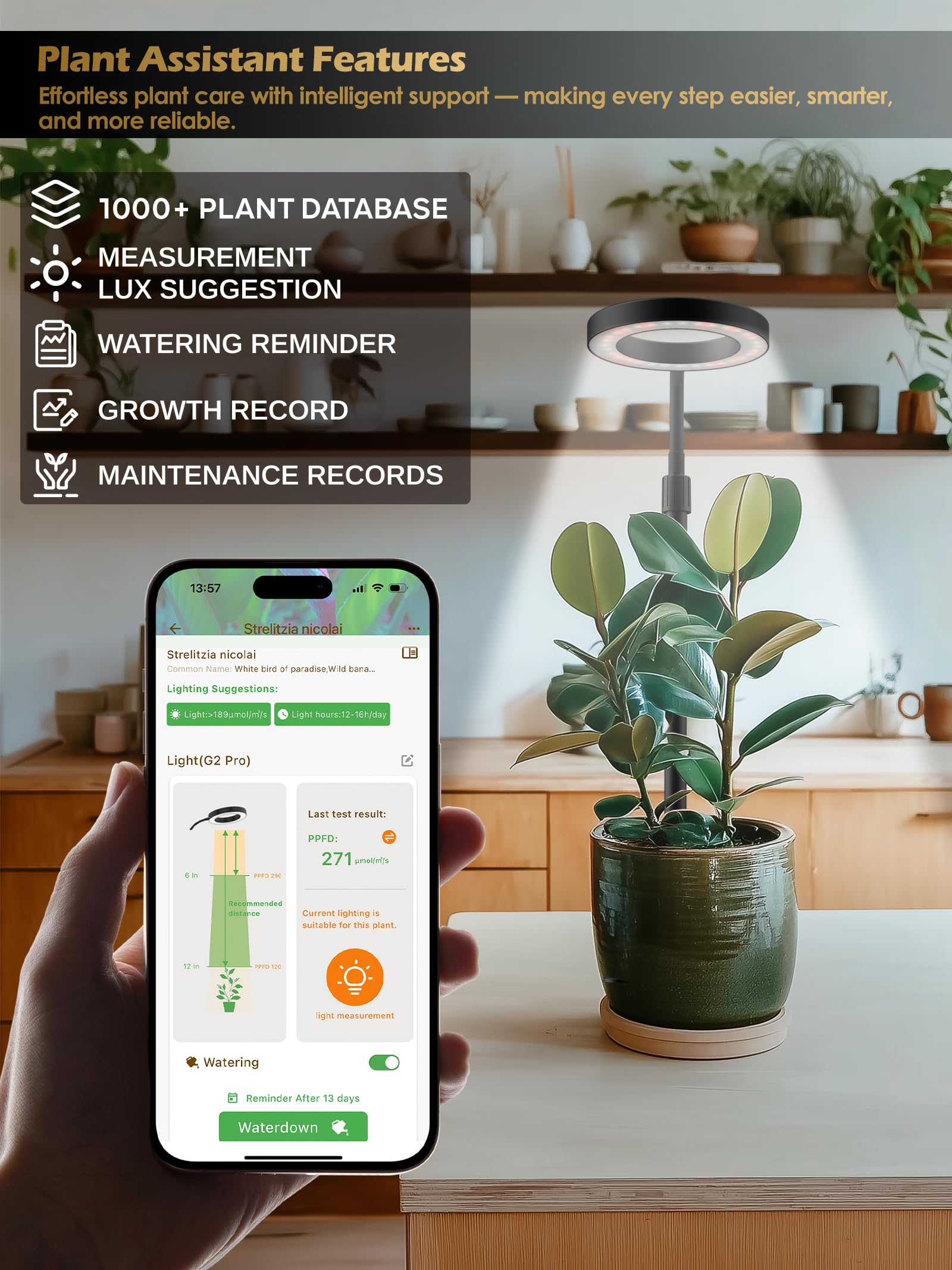 GLOWRIUM extended height demonstrating 22.8-inch reach for taller plants