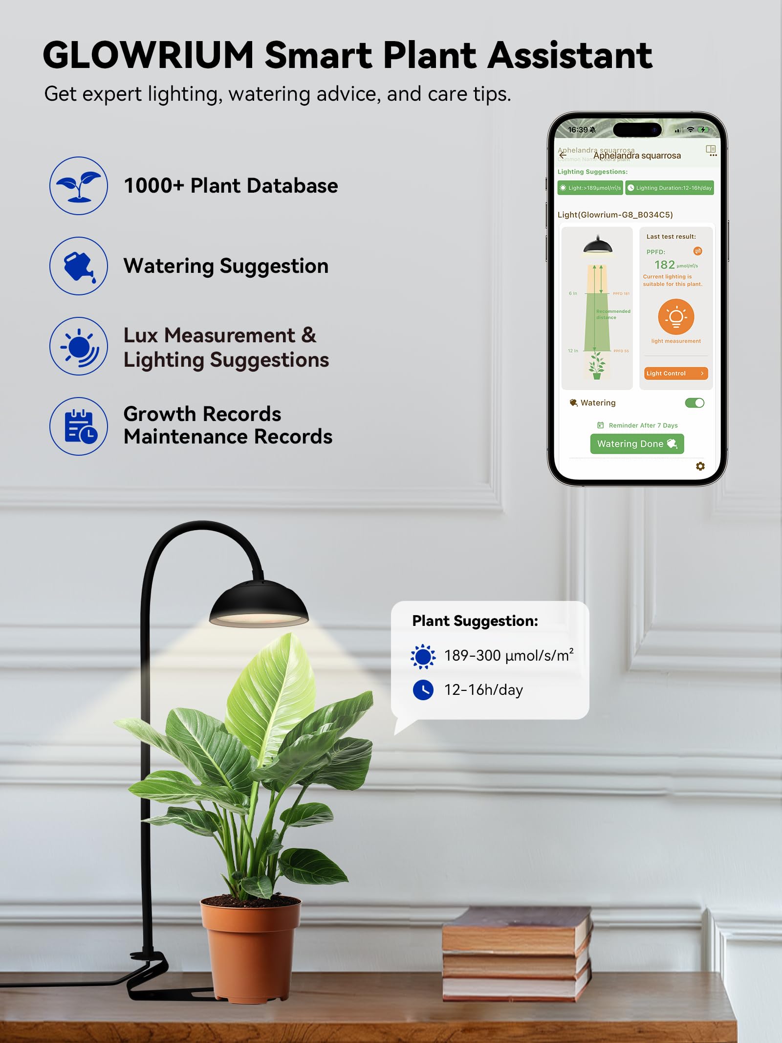 GLOWRIUM height comparison showing adjustable range to match seedling and mature plants