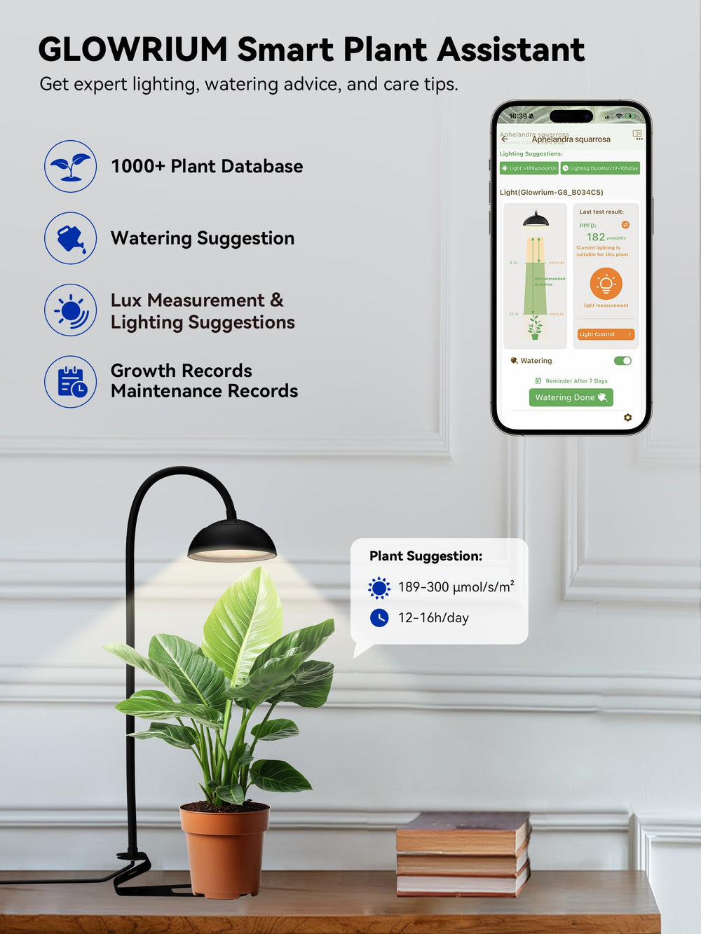 GLOWRIUM height comparison showing adjustable range to match seedling and mature plants