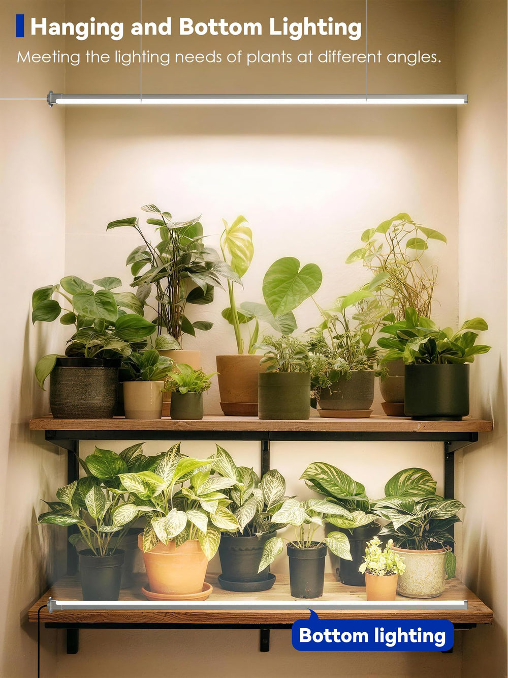 GLOWRIUM on an indoor herb shelf showing healthy plants under full-spectrum lighting benefit