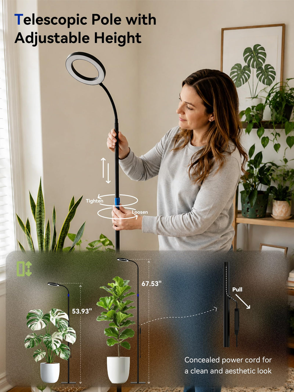 GLOWRIUM lamp styled beside sofa illuminating houseplants for healthy growth