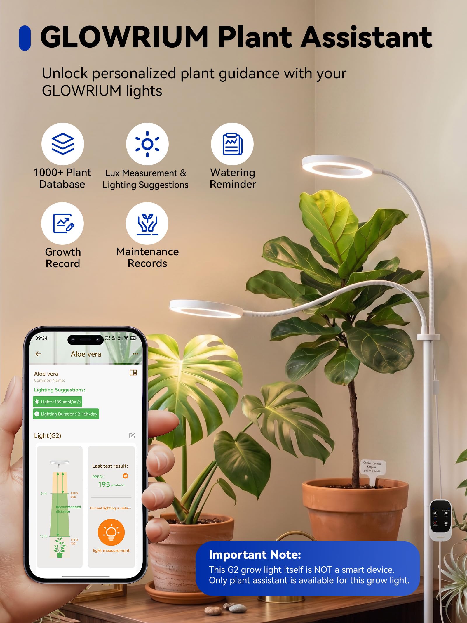 GLOWRIUM lamp rotated to show 360-degree head and even canopy coverage