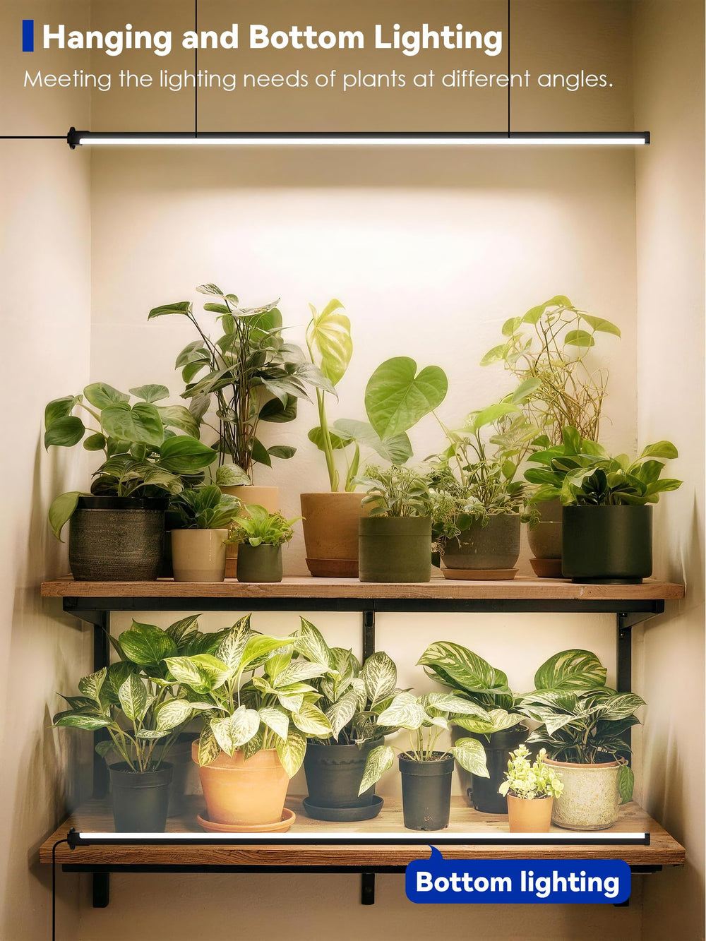 GLOWRIUM installed above an indoor herb shelf promoting healthier leaf growth