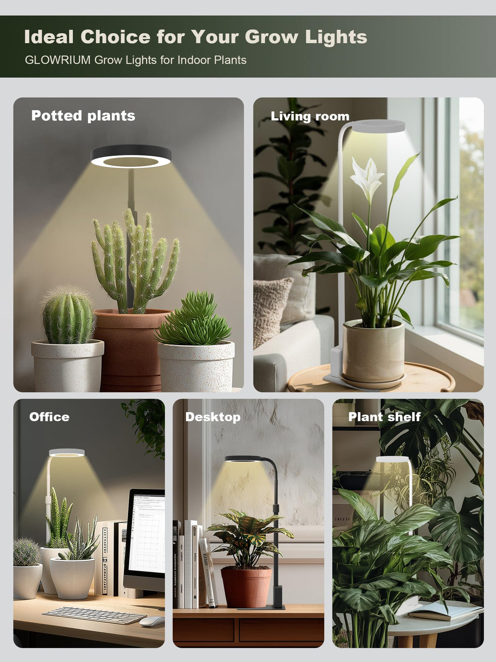 GLOWRIUM lifestyle shot with kitchen herbs showing practical indoor use