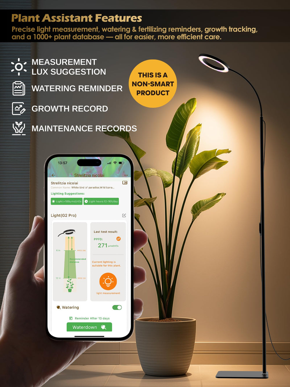 GLOWRIUM multiple plants lit evenly under full coverage for growth
