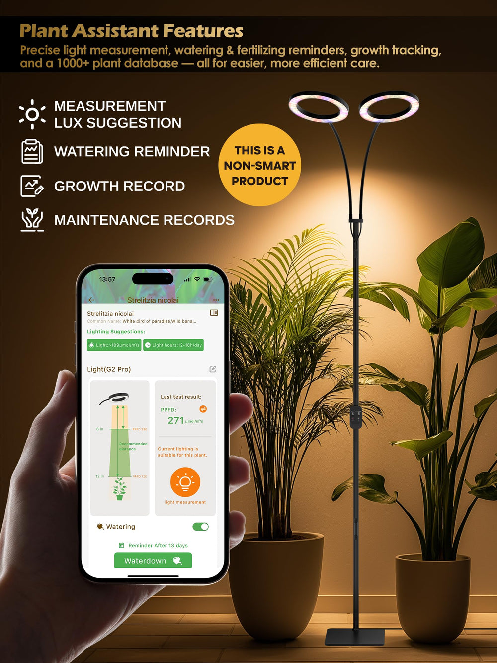 GLOWRIUM illuminating multiple potted plants boosting uniform growth
