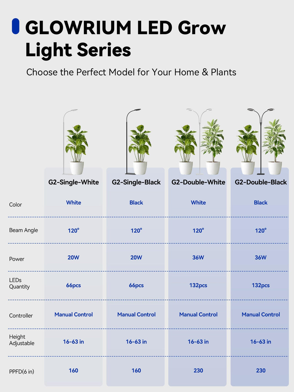 GLOWRIUM scale image with common items demonstrating lamp size and fit
