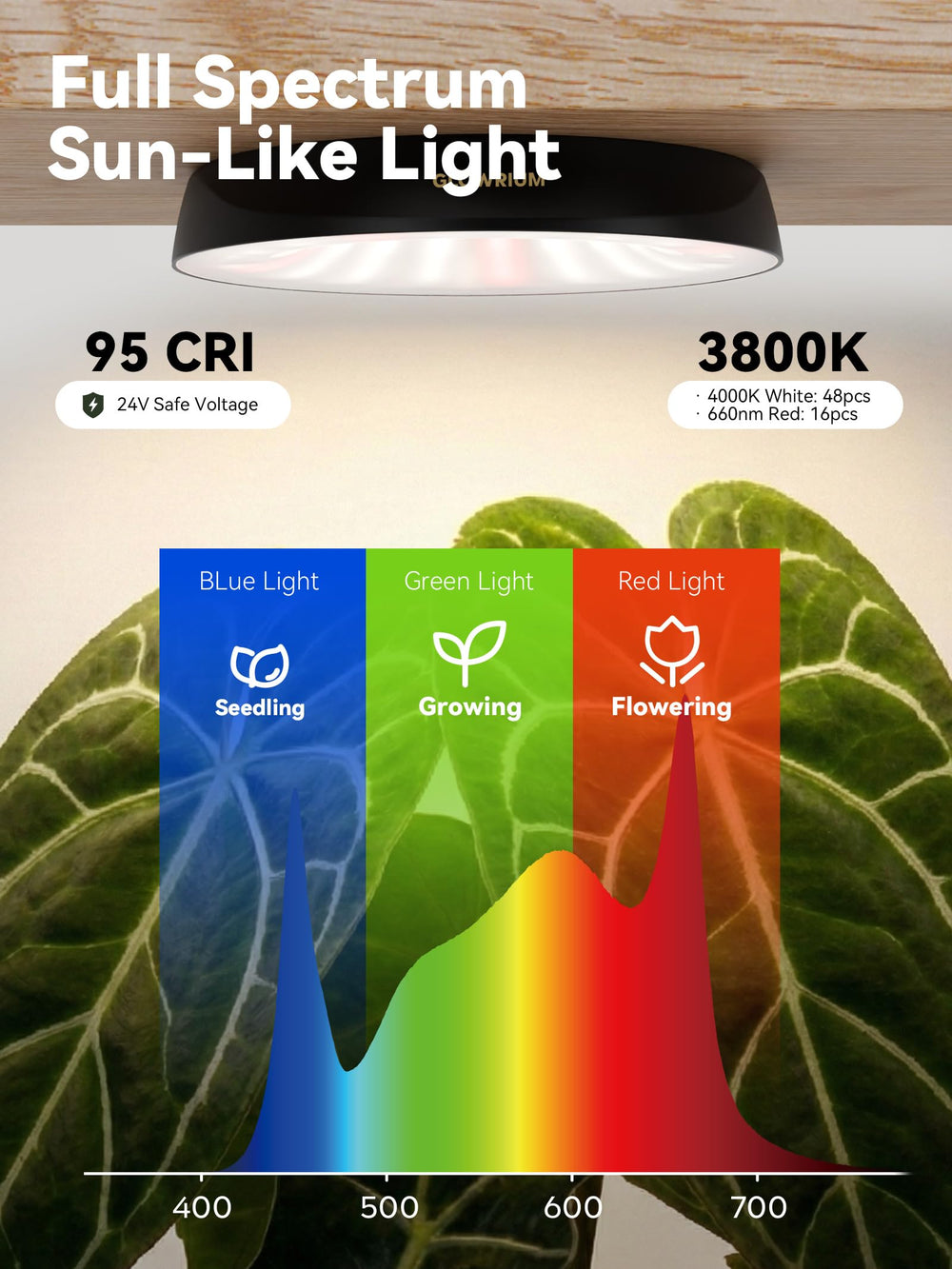 GLOWRIUM scale comparison with hand highlighting compact size and space-saving benefit