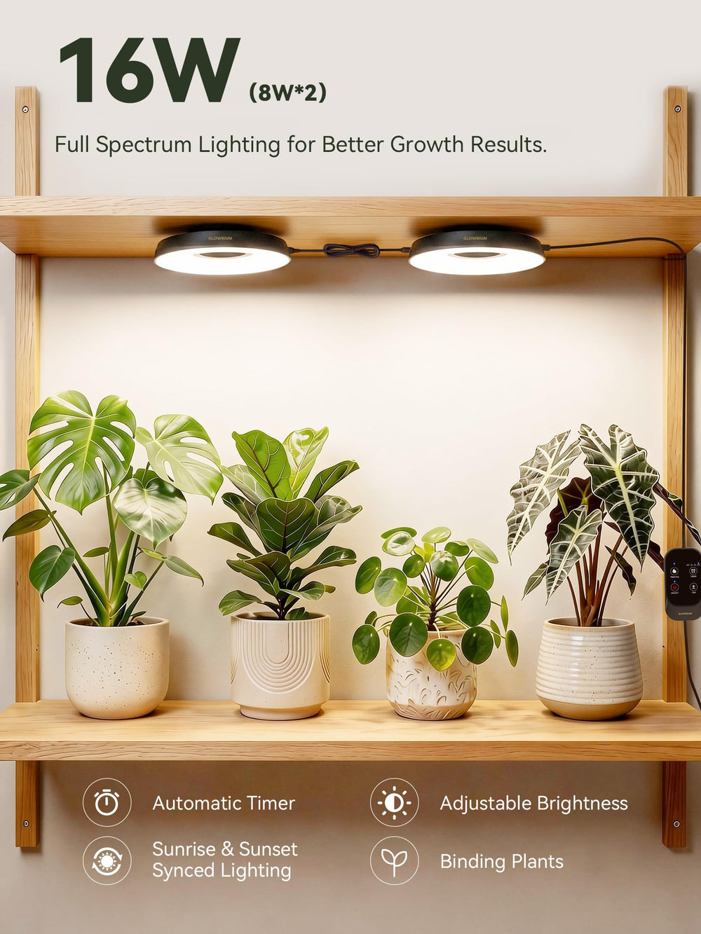 GLOWRIUM device showing timer and sunrise/sunset simulation for gentler transitions