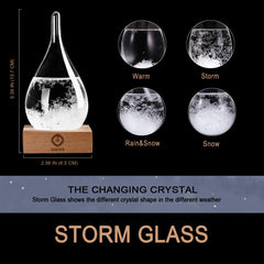GM GMISS wooden base detail highlighting stable support and natural finish for display benefit