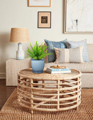 GnFlus 6-inch pot with snake plant in situ showing healthy display and space-saving