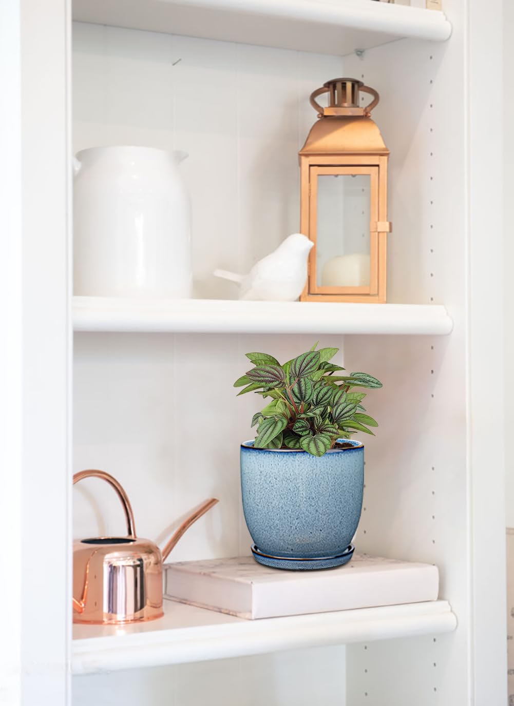 GnFlus pots next to ruler showing accurate size and perfect fit for small plants