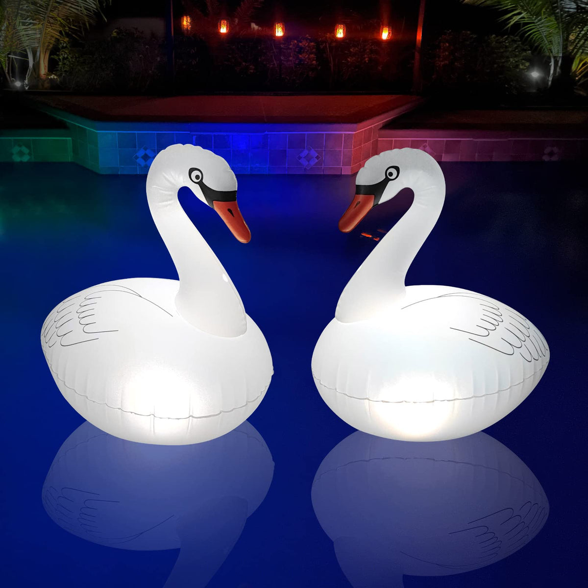 Goallim swan front view showing elegant float design and ambiance benefit