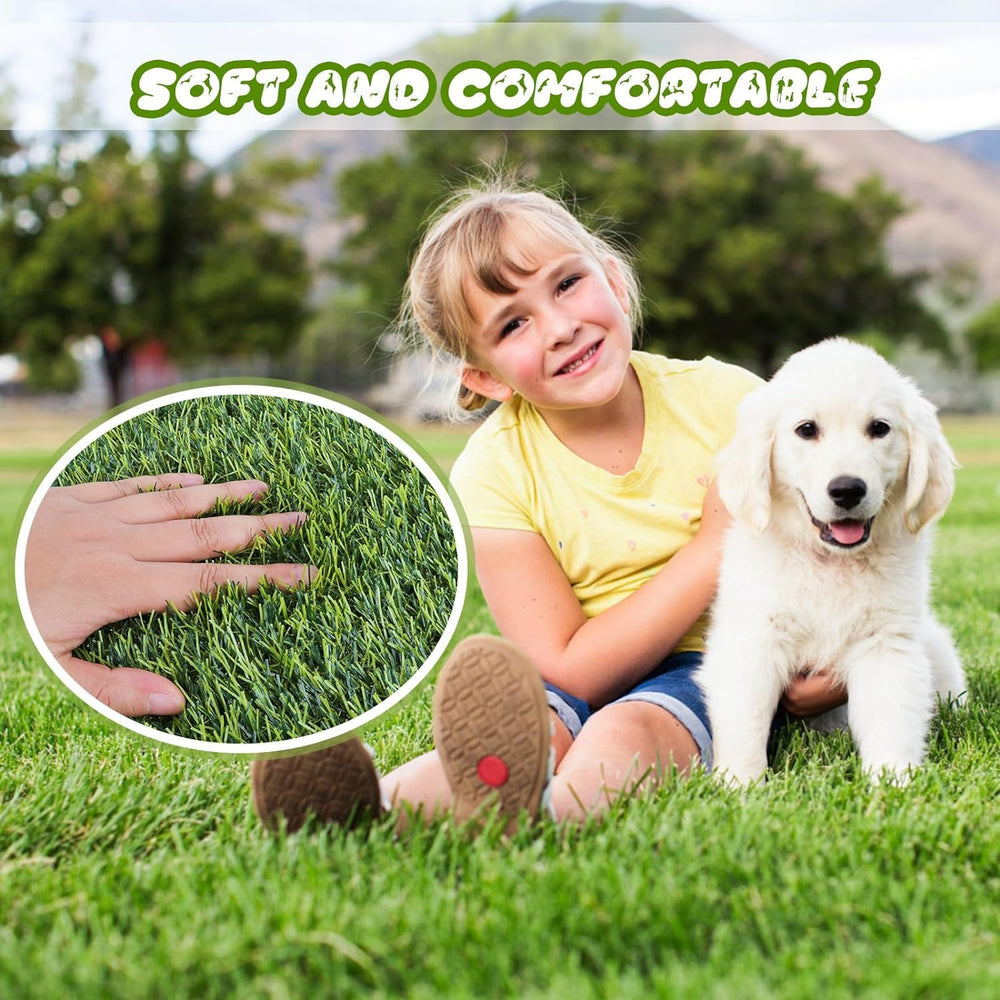 Goasis Lawn in-use with a dog demonstrating pet-friendly surface and easy maintenance