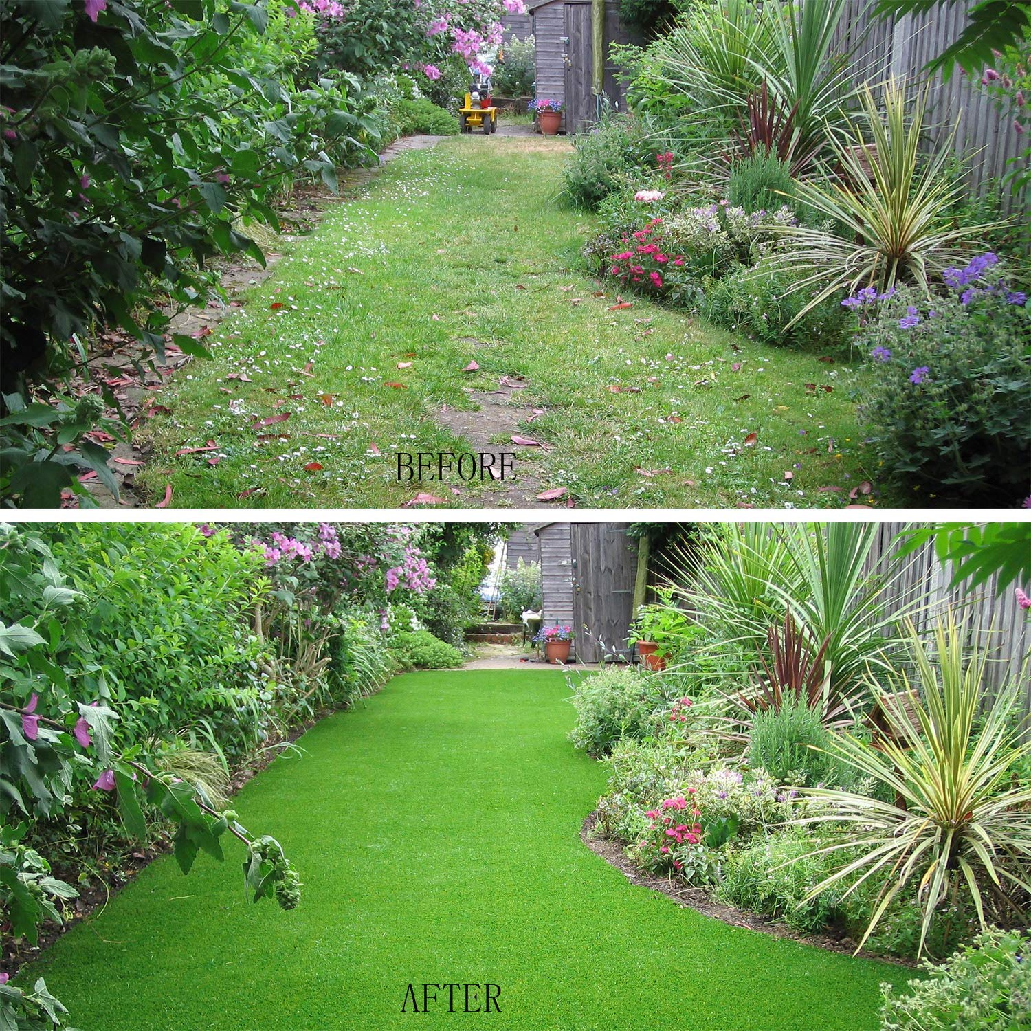 Goasis Lawn in garden lifestyle setting showing year-round green aesthetics benefit