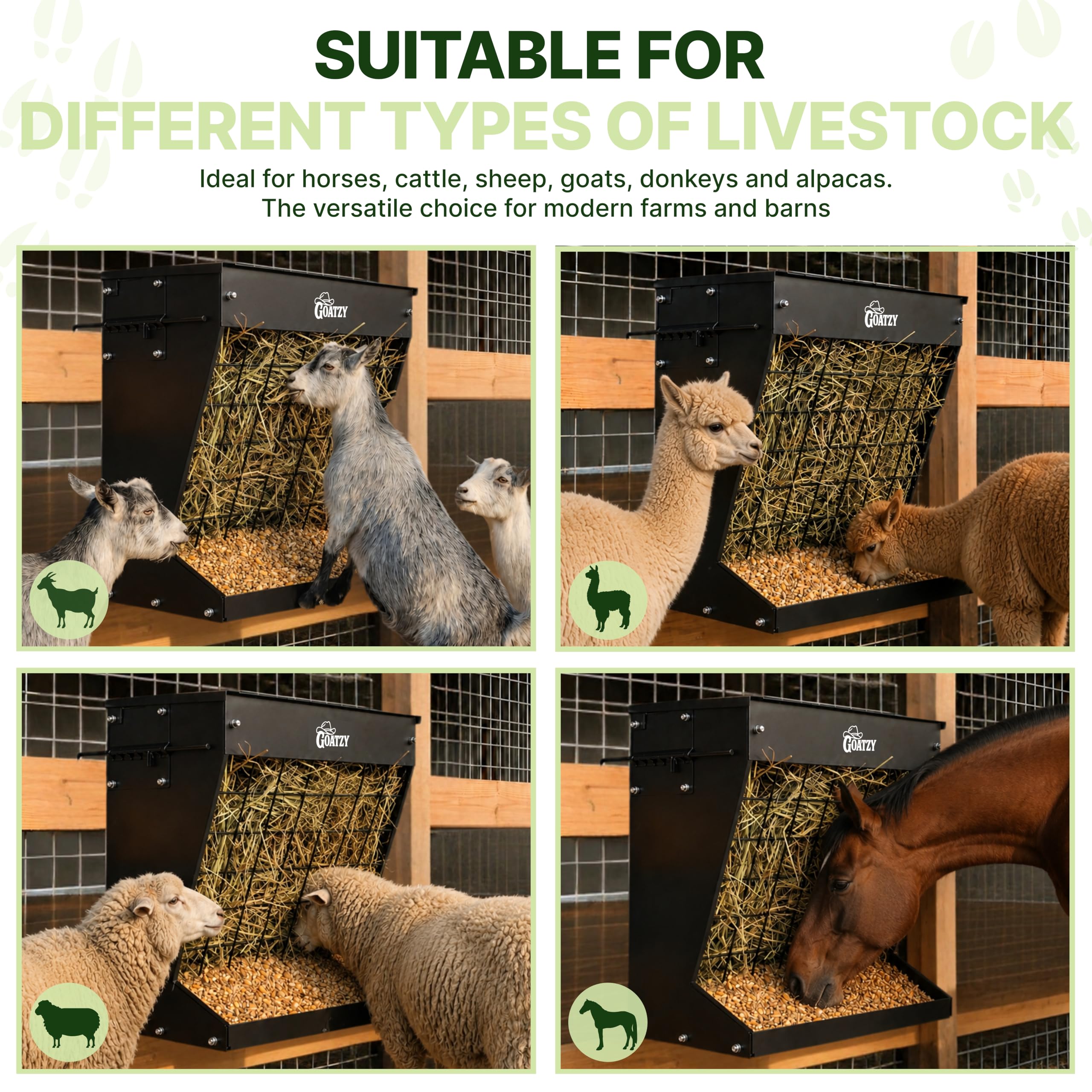 Goatzy in use as animals feed neatly with less trampling and spoilage
