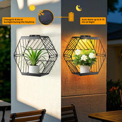 GOESWELL shelf holding a 4-inch potted plant demonstrating secure, stable fit