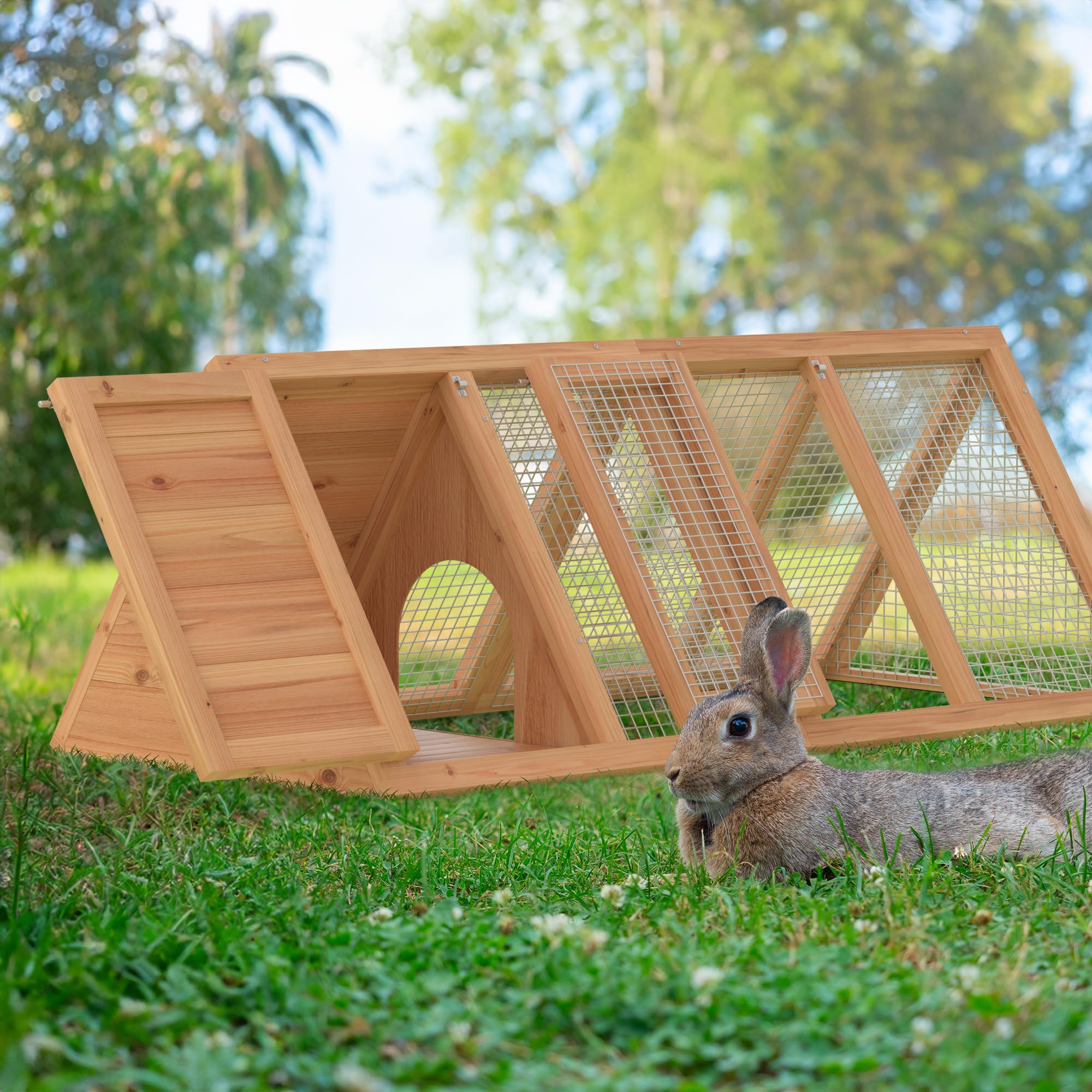 GOJOOASIS coop with two hens to illustrate size and practical capacity