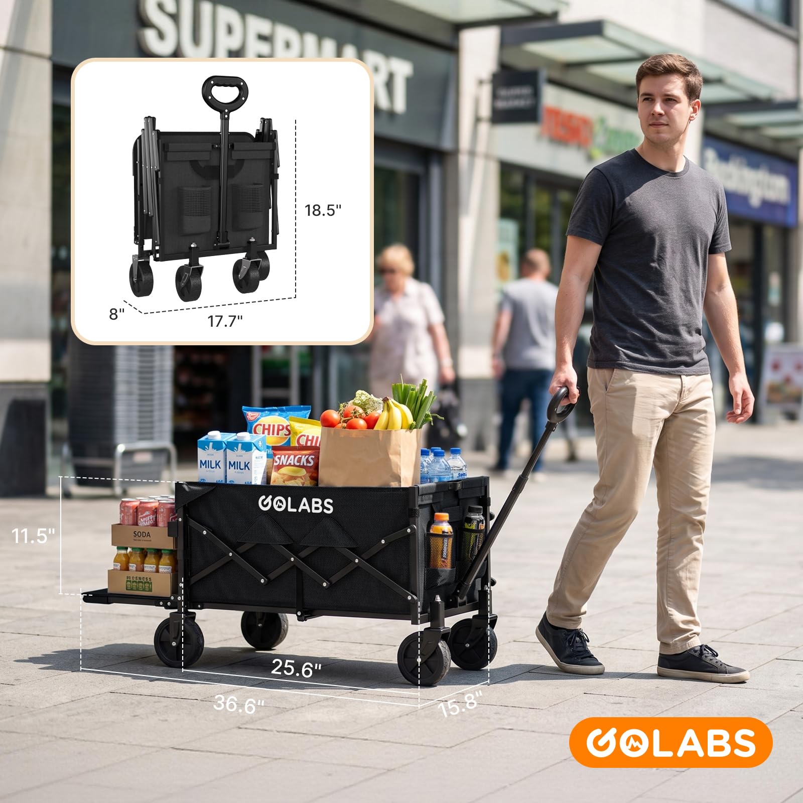 GOLABS WA1 on beach with gear showing versatile outdoor hauling benefit