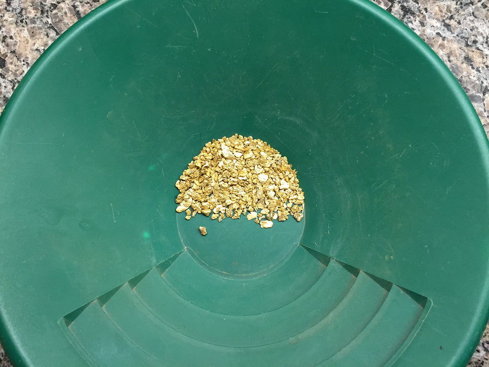 Goldn Paydirt close-up texture of concentrate with visible black sand and flakes, highlights panning readiness