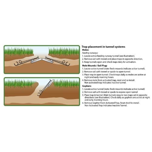 GONZO trap placed in garden setting showing lawn protection benefit
