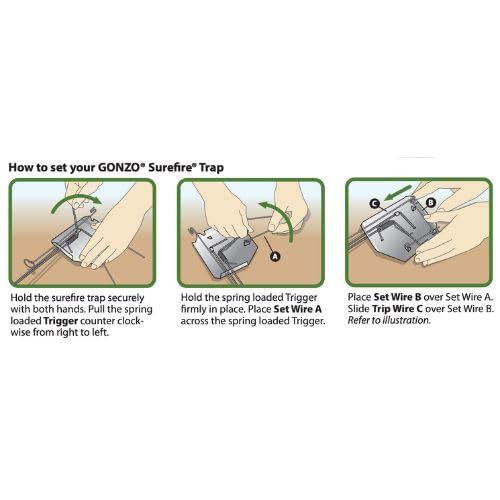 GONZO held in hand for scale showing compact, portable design benefit