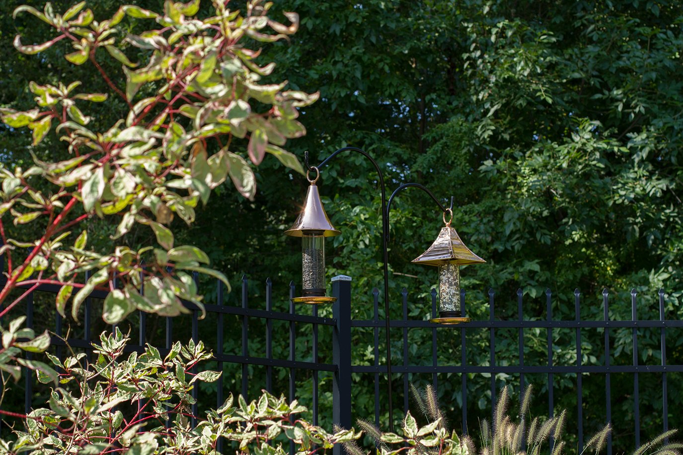 Good Directions Castella feeder in use with small songbirds benefit: multiple birds feeding on raised tray