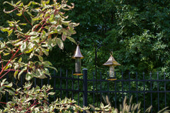Good Directions Castella feeder in use with small songbirds benefit: multiple birds feeding on raised tray