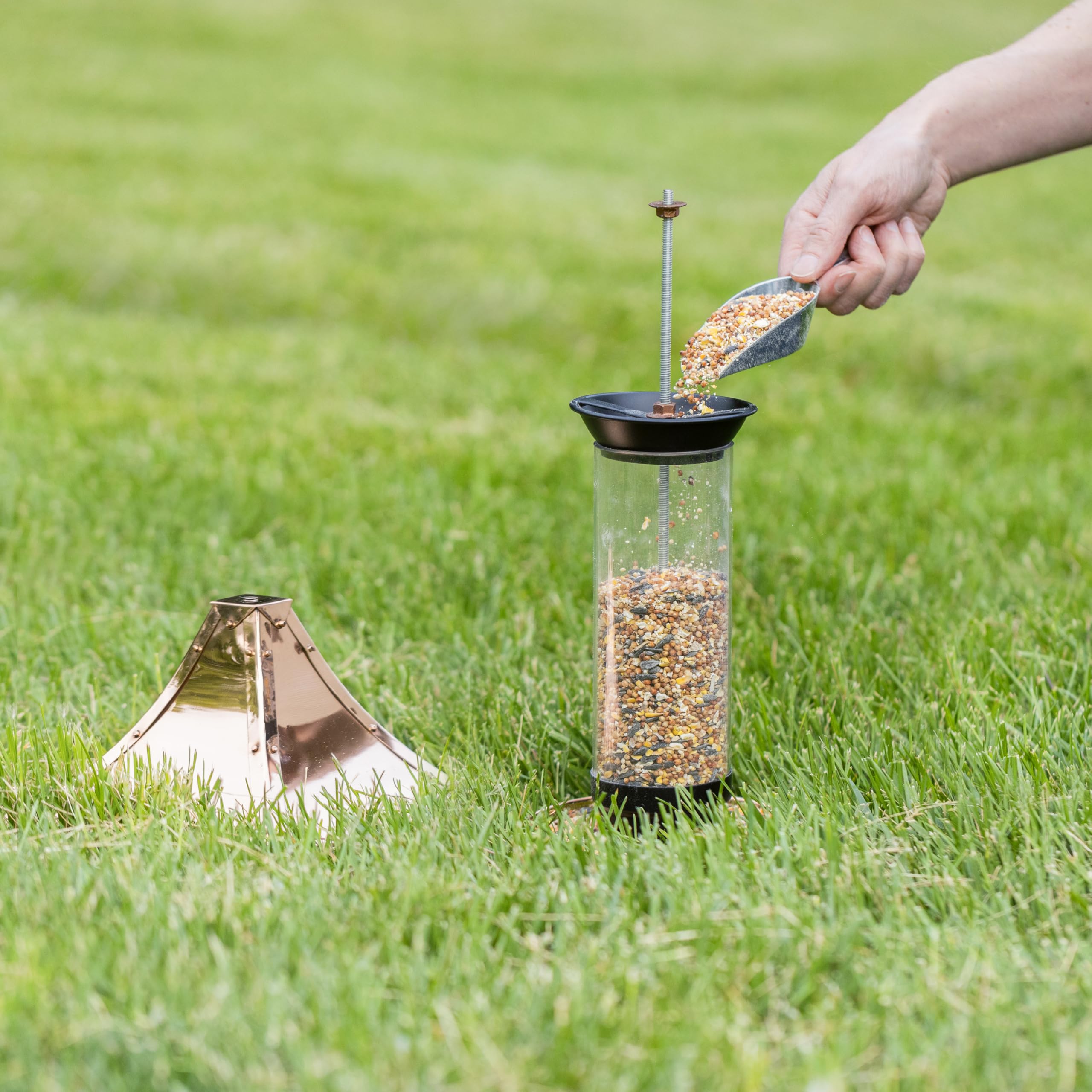 Good Directions feeder hanging in garden showing scale and inviting birds to dine benefit
